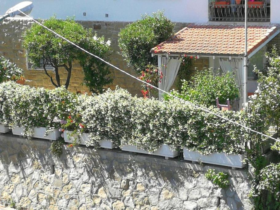 Comodo Con Giardino E Patio Sanremo Exterior foto
