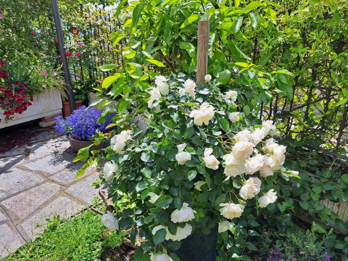 Comodo Con Giardino E Patio Sanremo Exterior foto